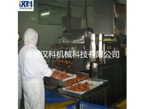 油炸生产线 小龙虾油炸生产线  鱼豆腐油炸生产线